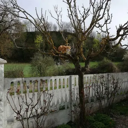 Garofoli בית כפרי *