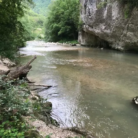 Garofoli